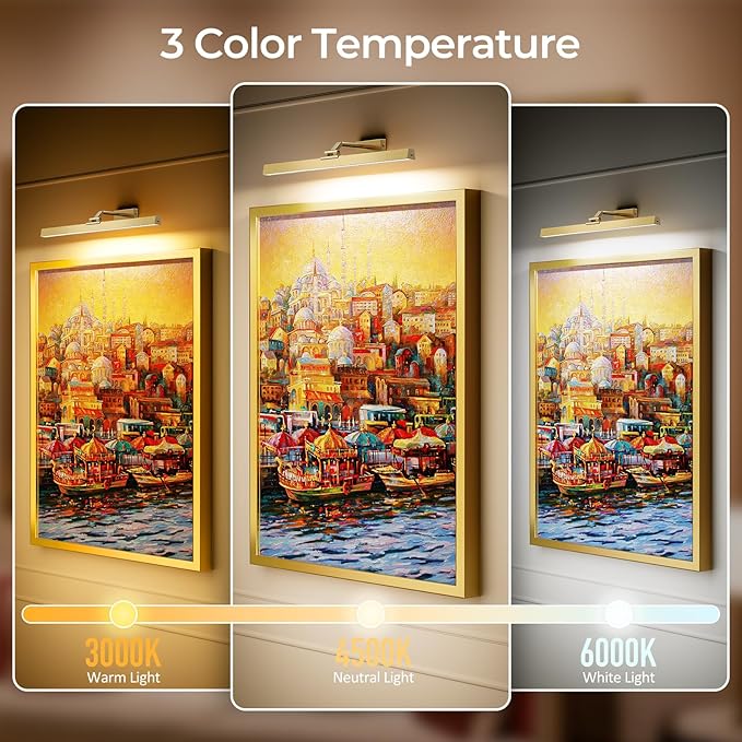 Picture Lights for Wall, Brushed Gold Battery Operated Picture Light 24in Art Light CCT Dimmable Recharging Battery Wall Light with Remote Control for Living Room Gallery