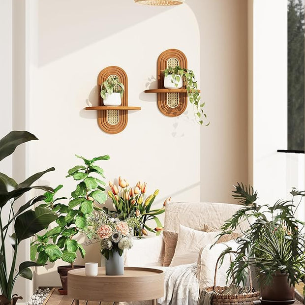 Floating Shelves for Wall, Boho Rattan Plant Shelf Set of 2, Mid Century Small Decorative Shelf Wall-Mounted, Natural Wood Shelves for Living Room,Bedroom,Nursey Room (Walnut)