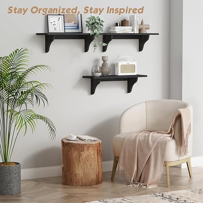 Forbena Wall Mounted Shelves for Bedroom 24 Inches Long, 8 Inch Deep Floating Shelves for Wall, Large Hanging Arched Shelf for Kids Bathroom Living Room Office Decor Plants Books (3-Pack, Black)