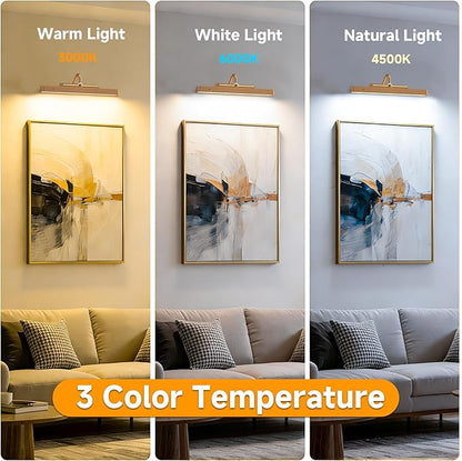 Gallery Picture Light for Wall, 4400mAh Brass Cordless Wireless LED Wall Sconce,Rechargeable Remote Dimmable Lighting for Modern Hallway Living Room Wall Decor(12 in, 2 Pack)