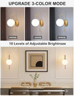 Battery Operated Gooseneck Wall Sconces Set of 2, Glass Globe Wireless Lights with Remote & Touch, Rechargeable Brushed Gold Sconce, 3 Color Dimmable Ambient Lighting for Bedroom Living Room