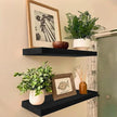 IAE Floating Wall Shelves 16 inch,Bathroom Shelving Wall Mounted,Invisible Shelf Floating Kitchen Shelves,Wooden Wall Shelf with Brackets for Living Room Wall Mounted,Easy Install,Set of 2,Black
