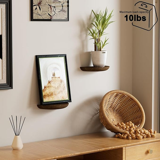 Solid Wood Half Round Floating Wall Shelves | Elegant Floating Shelves, Elevate Your Space. Perfect for Living Rooms, Bathrooms, Bedrooms, Offices, Children's Rooms