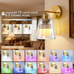 Vintage Battery Operated Wall Sconce with Transparent Minimalist Glass Lampshade Rechargeable Battery Powered Wall Light with Remote Control for Bedside Bedroom Bathroom, Set of 1