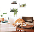 MITIME Floating Shelves Set of 3 Rustic Solid Wood Floating Shelf Wall Storage Shelves for Living Room, Bedroom, Bathroom, Kitchen Laundry, Office.no Drill Shelf.(Retro Color L+M+S)