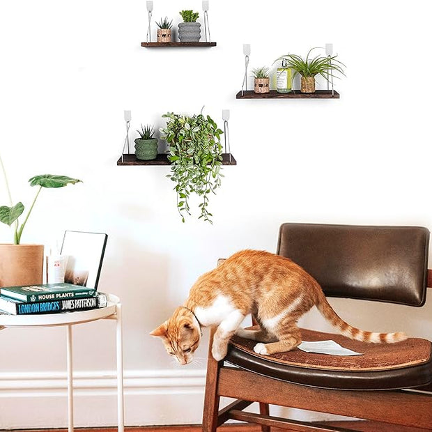 MITIME Floating Shelves Set of 3 Rustic Solid Wood Floating Shelf Wall Storage Shelves for Living Room, Bedroom, Bathroom, Kitchen Laundry, Office.no Drill Shelf.(Retro Color L+M+S)