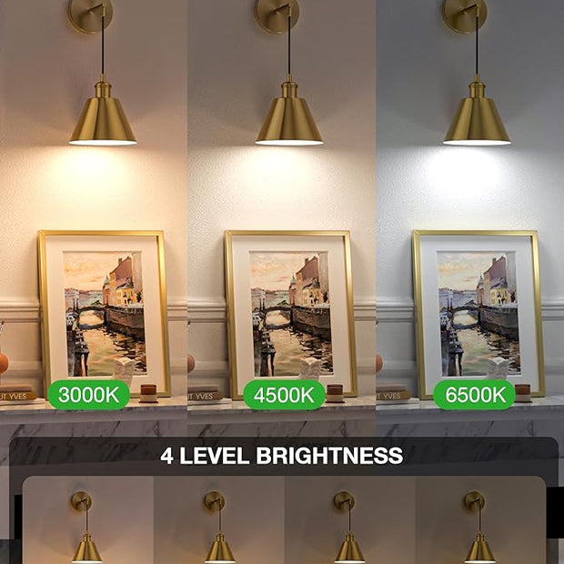 NIORSUN Brushed Gold Battery Operated Wall Sconce Set of 2, 5200mAh Dimmable Detachable Bulbs and Remote Wireless Rechargeable Wall Lights, 9 Colors Sconces Wall Decor for Bedroom Living Room Hallway