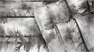 HAOKHOME Forest Peel and Stick Wallpaper Black and White Removable Vinyl Wall Mural for Bathroom Bedroom Accent Wall Self Adhesive Tree Contact Paper 17.3in x 118in