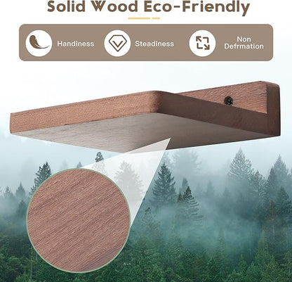 Small Floating Shelf, 5x6 Inch Display Ledges for Wall,Mini Shelves,Rustic Wood Shelf for Bedroom Living Room Bathroom Kitchen (6, Light Walnut)