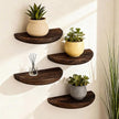 4 Pcs Solid Wood Half Round Floating Wall Shelves, Elegant Floating Wooden Shelves, 8.27 Inch Wall Shelf for Living Room, Bathroom, Bedroom, Offices, Pictures Plant Book (Dark Brown)
