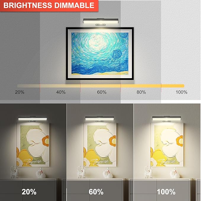 2 PACK Picture Light for Painting Battery with Remote on Wall in Bedroom Living Room, 3Lighting for Wall Art Pictures Posters,Dimmable Timer Set Display Accent Light for Frame Dart Gallery Portrait