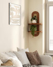 Floating Shelves for Wall,Boho Home Wall Decor,2-Tier Rattan Plant Shelf,Mid Century Hanging Small Decorative Shelf,Natural Wood Shelves for Living Room,Bedroom,House,Office,1-Pack (Walnut)