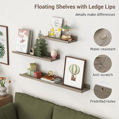 Axeman Picture Ledge Shelf | 16 Inch Grey Floating Shelves Set of 3 | Rustic Grey Wood Wall Shelves with Lip | 16" Picture Shelf for Wall with Ledge | Photo Shelves