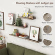 Axeman Picture Ledge Shelf | 16 Inch Grey Floating Shelves Set of 3 | Rustic Grey Wood Wall Shelves with Lip | 16