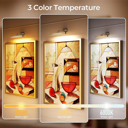 Picture Lights for Wall, Brass Battery Operated Picture Light 16in Art Light CCT Dimmable Recharging Battery Wall Light with Remote Control for Living Room Gallery