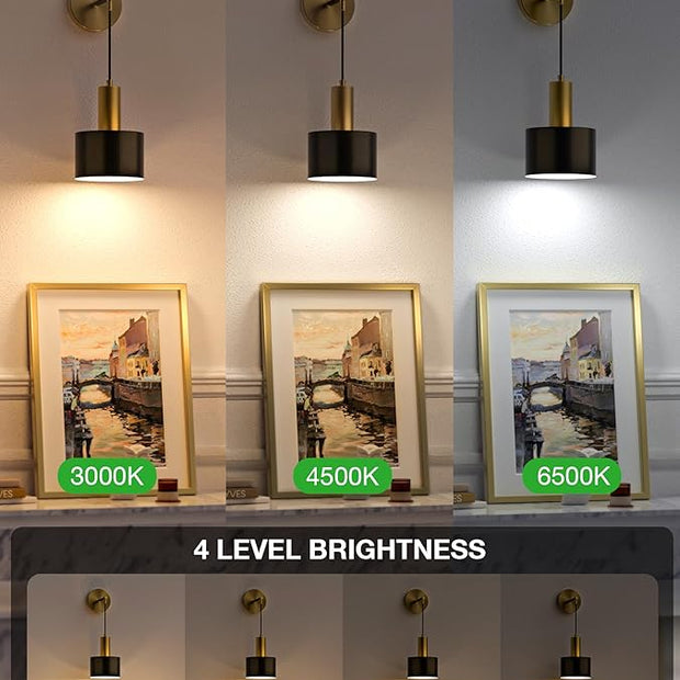 NIORSUN Battery Operated Wall Sconce Set of 2, Gold & Black Wireless Rechargeable Wall Lights with 5200mAh Dimmable Detachable Bulbs and Remote, 9 Colors Sconces Wall Decor for Bedroom Living Room