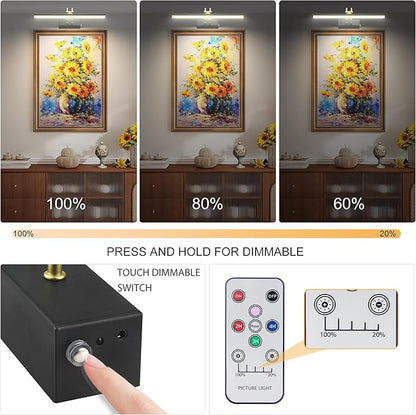 Picture Light,Picture Lights for Wall Cordless,16" Picture Lights with Timer and Dimmable,Battery Wall Lights for Display Gallery Painting Art Frame Portrait-BK+GD