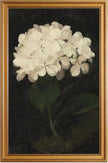 HUARCEY Gold Framed Vintage Wall Art for Living Room, Flowers Painting Canvas Prints Shelf Decor for Kitchen, Aesthetic Bedroom Wall Art, Christmas Gifts for Friends Family (White Hydrangea 16