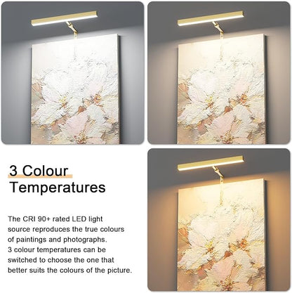 4W Plug in Picture Light for Paintings with Remote Control, 12" LED Art Display Lighting for Gallery, Dartboard, Artwork, Gold Wall Mounted Picture Frame Light
