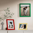 Vittanly Picture Frames Set of 10, Picture Frames Collage Wall Decor with Two 8x10, Four 5x7 and Four 4x6 Photo Frames, Gallery Wall Frame Set for Wall or Tabletop Display, Green, Red and Gold
