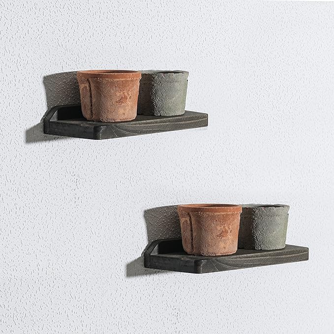 Freezing point Small Floating Shelves for Wall Set of 2 Natural Wood Trapezoid 10×4Inch Mini Wall Shelf Decor Plant Display Mounted Kitchen Bathroom Bedroom Corner Decorative Storage Tiny Stand