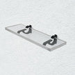 Clear Acrylic Shelves for Wall Storage, 6